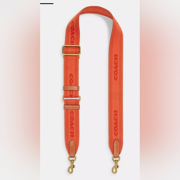 Coach Colorblock Webbing Strap - Picture 4 of 4